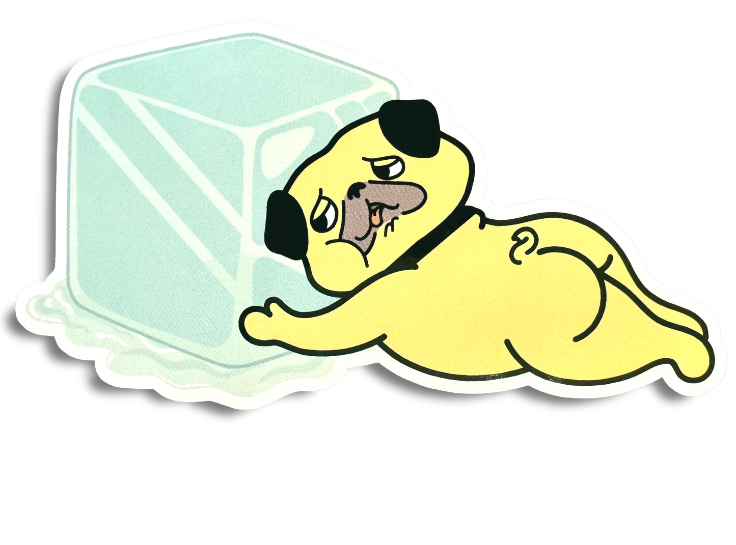 Ice Cube Crazy Pug Sticker ~FREE SHIPPING~