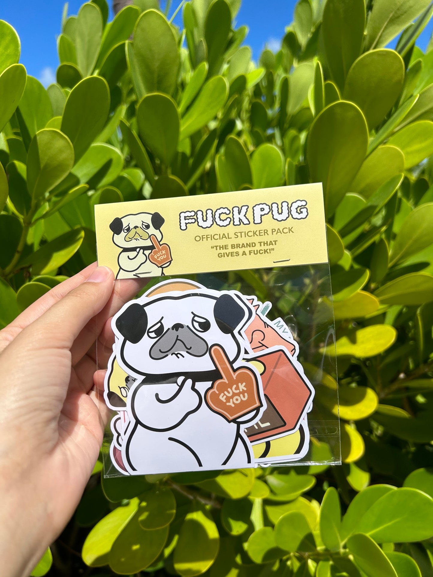 Go Pug Yourself Sticker Pack ~ENVÍO GRATIS~